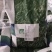 精品进口剪股颖草坪种子匍匐细弱型庭院别墅绿化工程