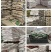 精品进口剪股颖草坪种子匍匐细弱型庭院别墅绿化工程