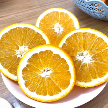 橙子干片