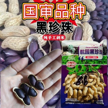 航圆黑珍珠花生种子高产早熟大粒黑花生种子春夏大田用种手工