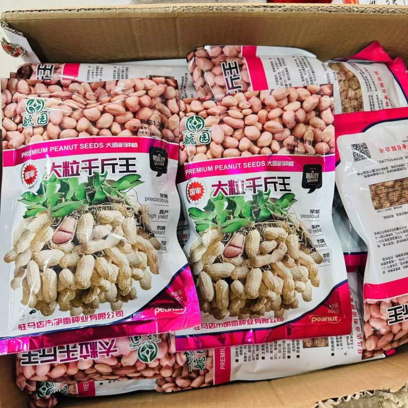大粒白沙果花生种子纯手工剥米花生种子不带壳矮秧花生种出米