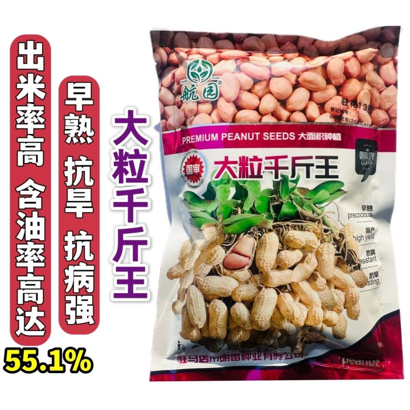 大粒白沙果花生种子纯手工剥米花生种子不带壳矮秧花生种出米