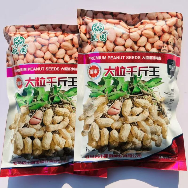 大粒千斤王花生种子抗旱春夏播花生米种子产量高含油率高出米