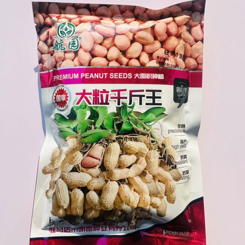 大粒千斤王花生种子抗旱春夏播花生米种子产量高含油率高出米
