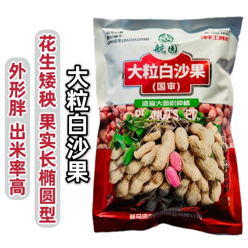 大粒千斤王花生种子抗旱春夏播花生米种子产量高含油率高出米