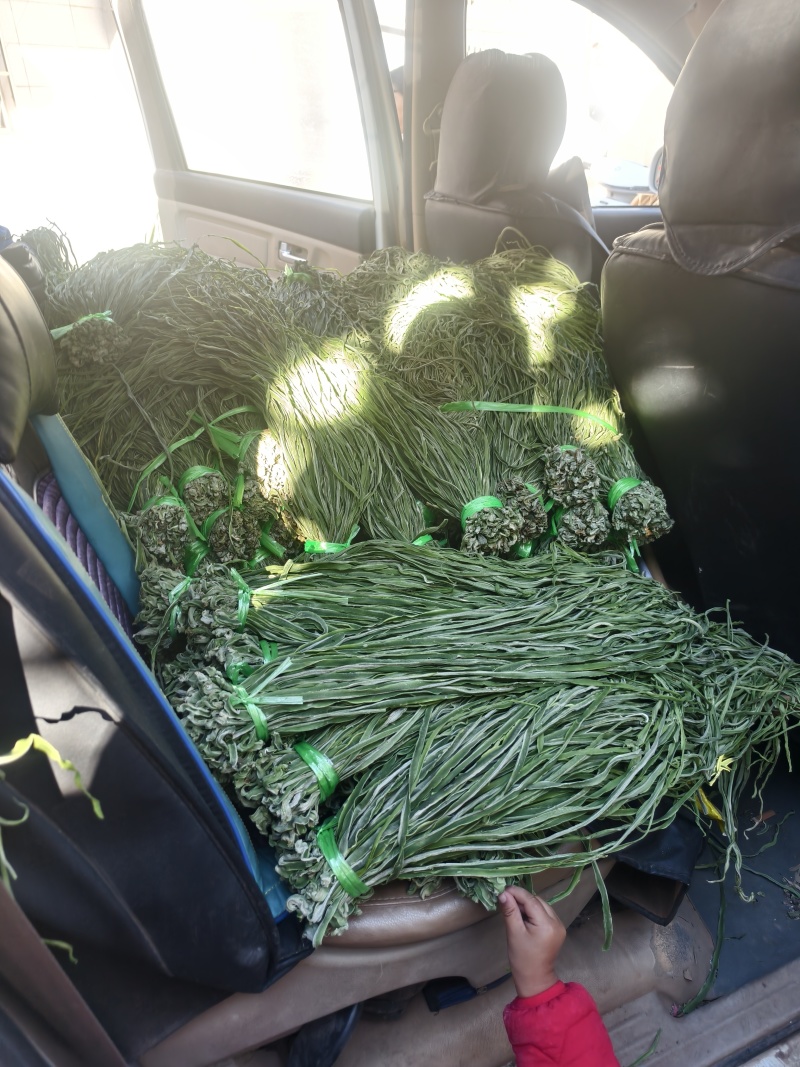 云南大理贡菜产区需要联系产地直发脆嘎嘎脆