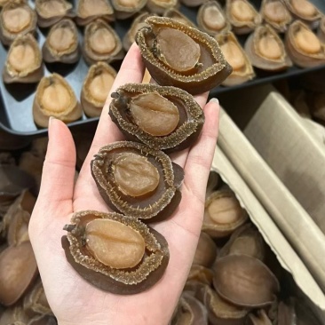 南非吉品鲍鱼溏心干鲍鱼口感软糯足干批发价格送礼鲍鱼