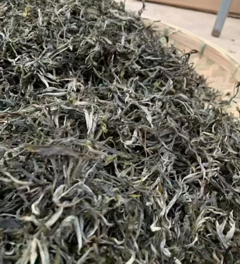 云南正宗普洱茶，都是自然生在山林上，欢迎咨询