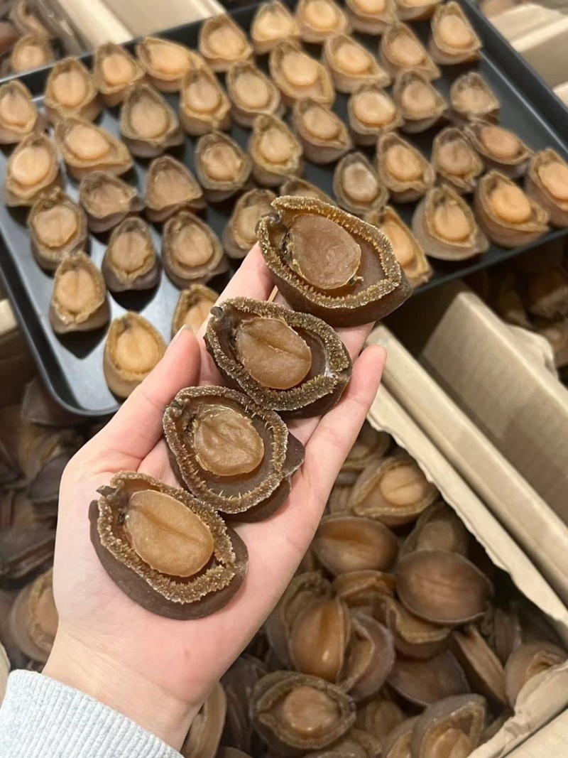 南非吉品鲍鱼溏心干鲍鱼口感软糯足干批发价格送礼鲍鱼