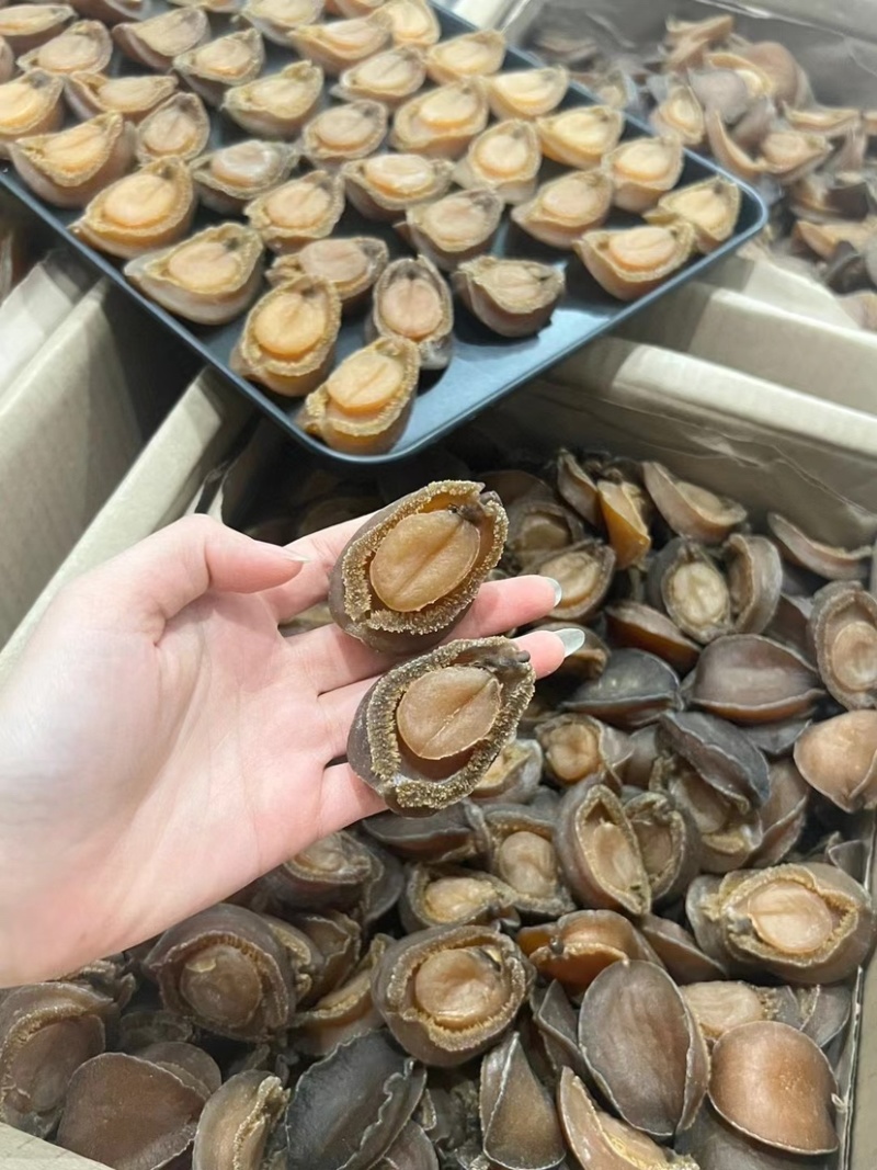 南非吉品鲍鱼溏心干鲍鱼口感软糯足干批发价格送礼鲍鱼