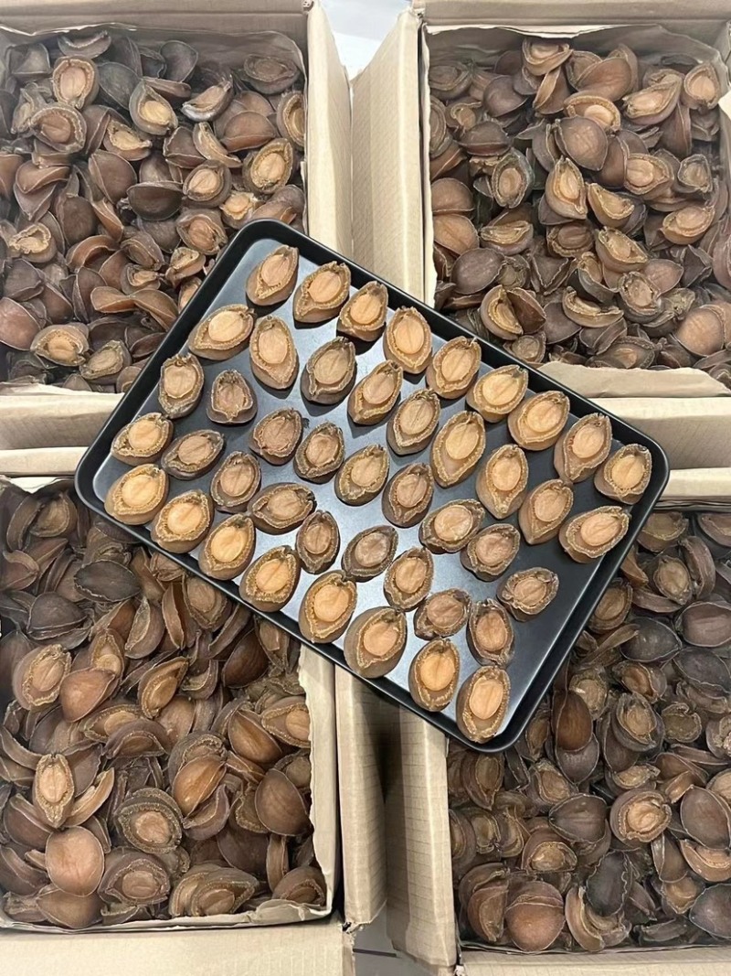南非吉品鲍鱼溏心干鲍鱼口感软糯足干批发价格送礼鲍鱼