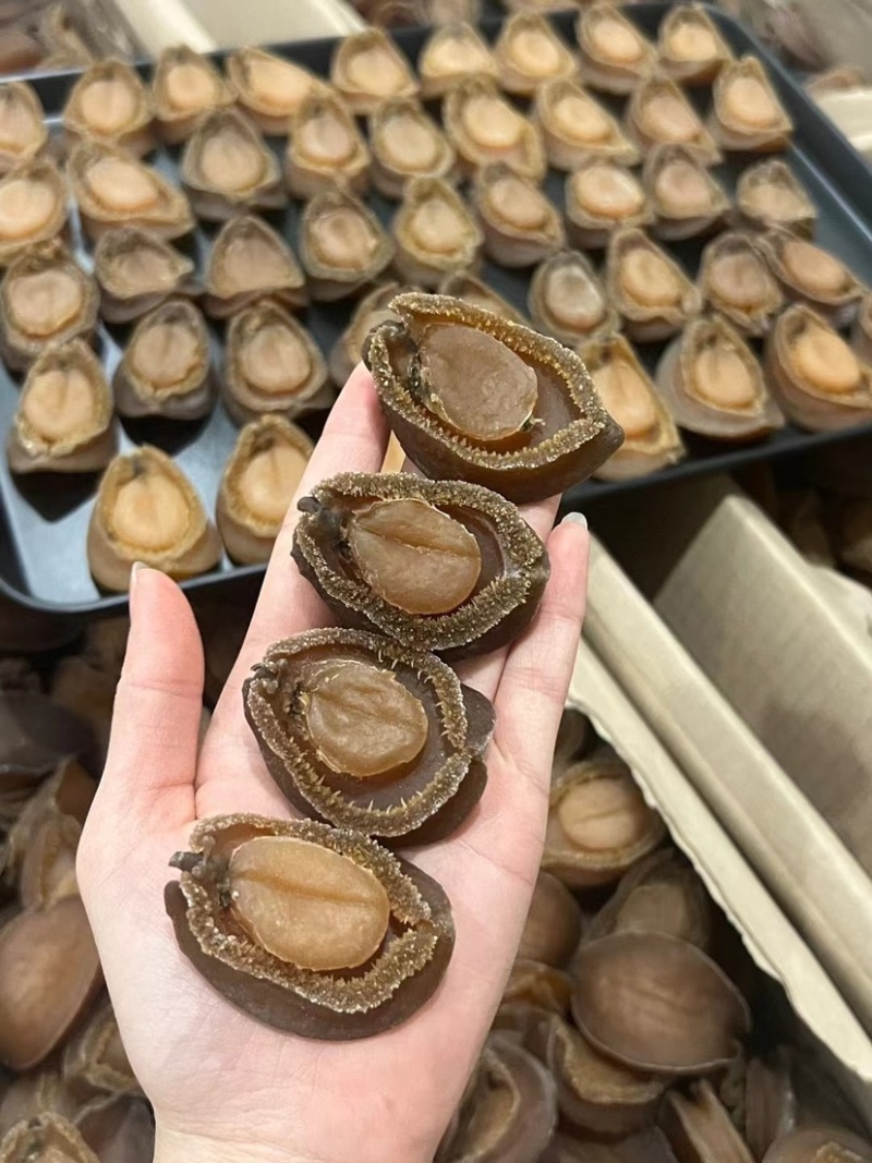 南非吉品鲍鱼溏心干鲍鱼口感软糯足干批发价格送礼鲍鱼