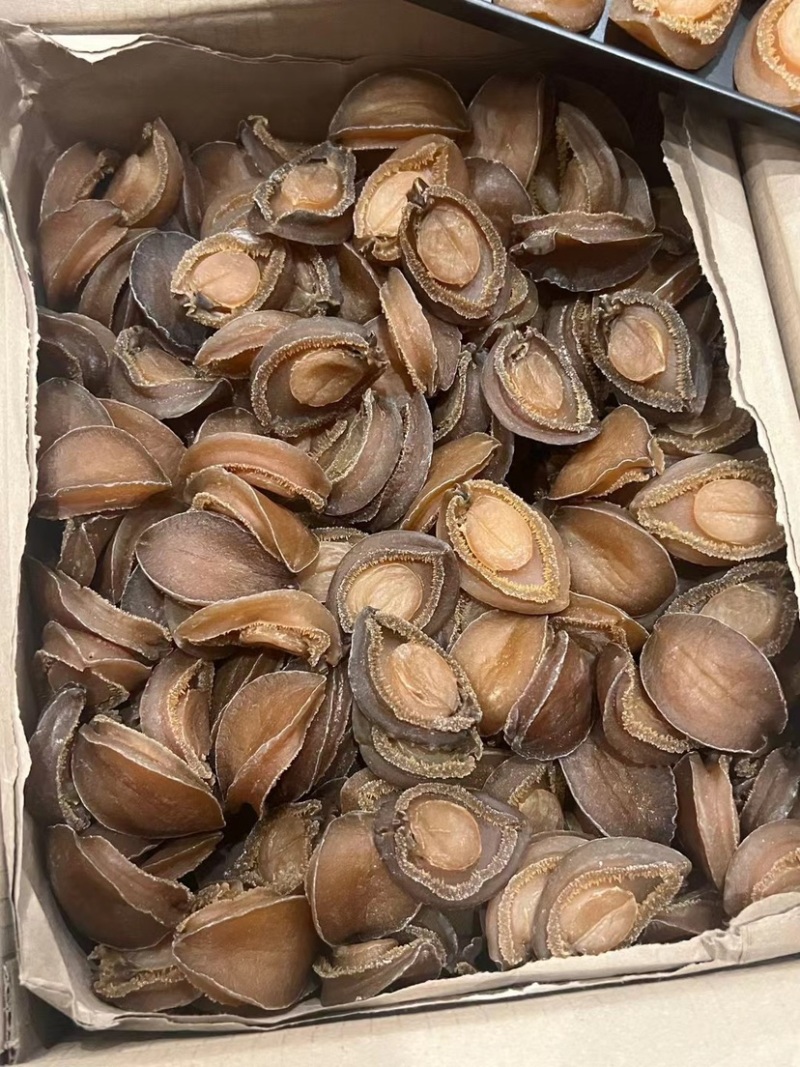 南非吉品鲍鱼溏心干鲍鱼口感软糯足干批发价格送礼鲍鱼