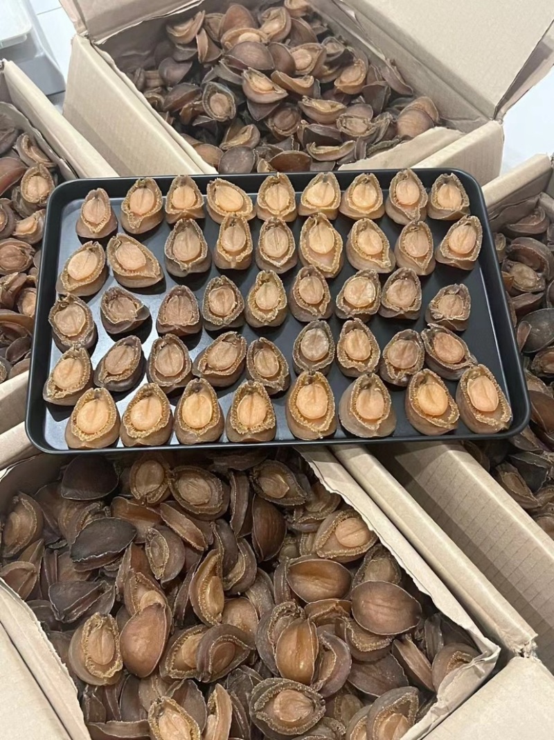南非吉品鲍鱼溏心干鲍鱼口感软糯足干批发价格送礼鲍鱼