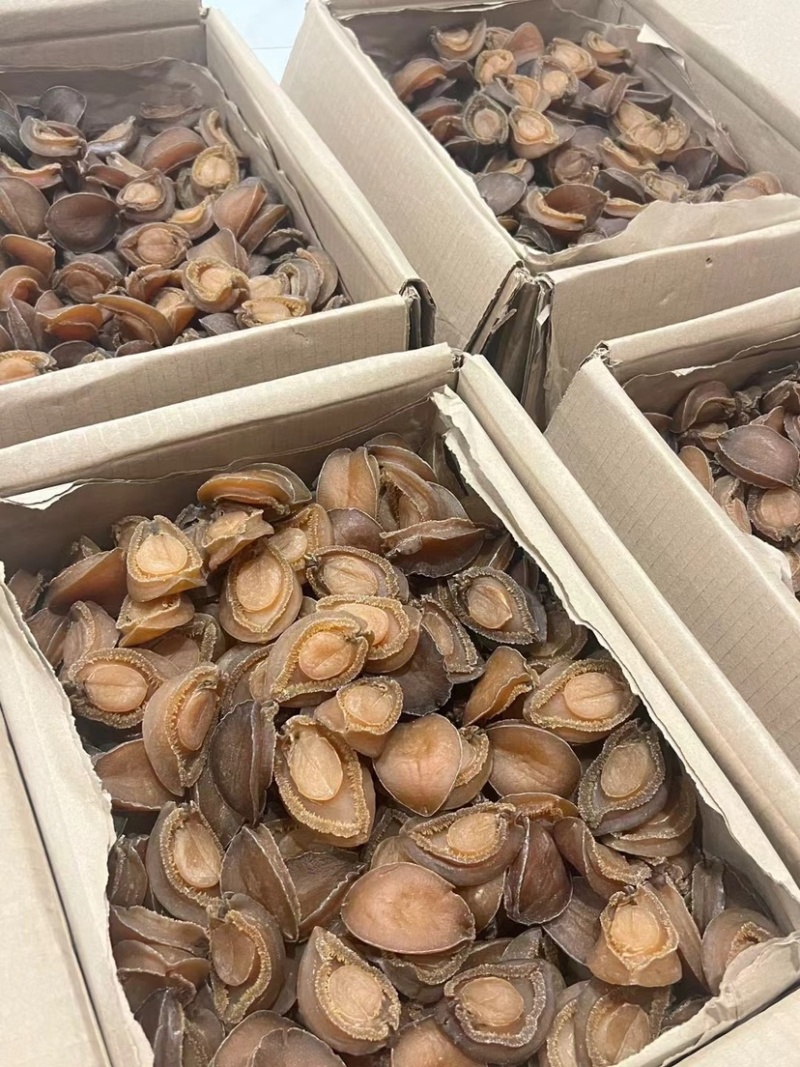 南非吉品鲍鱼溏心干鲍鱼口感软糯足干批发价格送礼鲍鱼