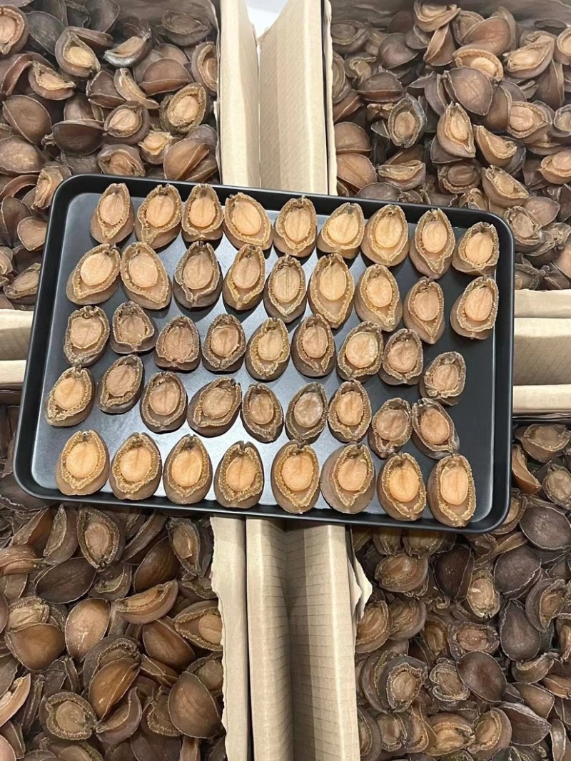 南非吉品鲍鱼溏心干鲍鱼口感软糯足干批发价格送礼鲍鱼