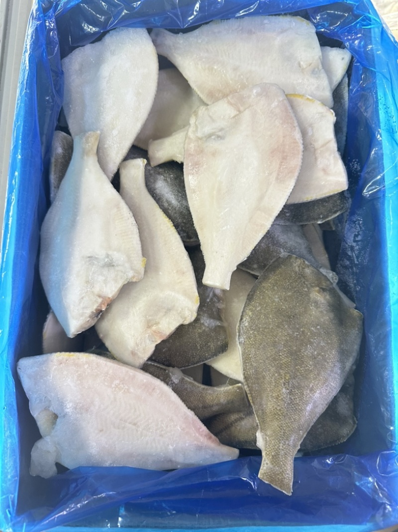 三去黄金鲽鱼，无残次，5公斤一件，45条左右