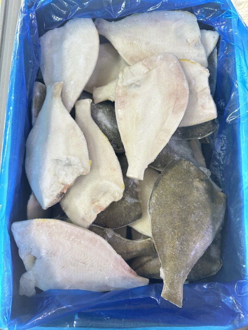 三去黄金鲽鱼，无残次，5公斤一件，45条左右