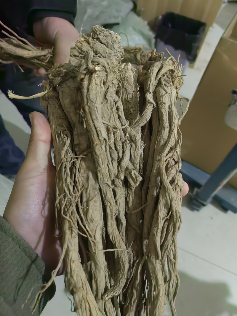 独活