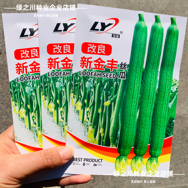 改良新金丰丝瓜种子特长早熟肉嫩香甜特长香丝瓜种子光滑