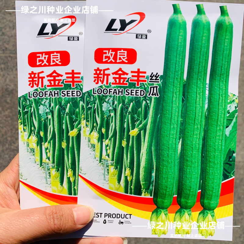 改良新金丰丝瓜种子特长早熟肉嫩香甜特长香丝瓜种子光滑