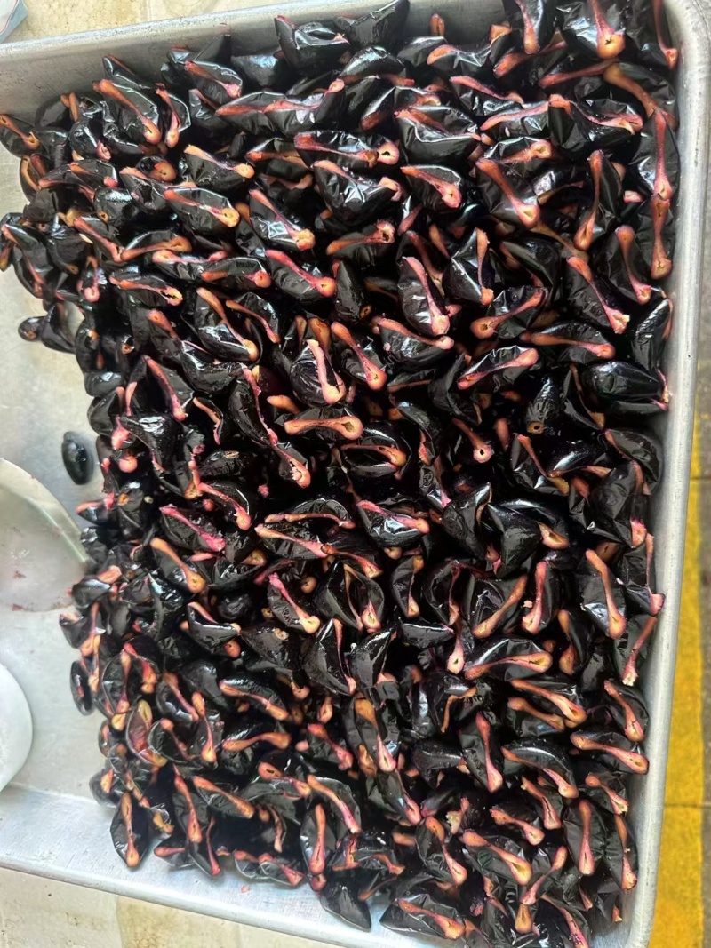 今年新鲜乌榄角黑榄角橄榄