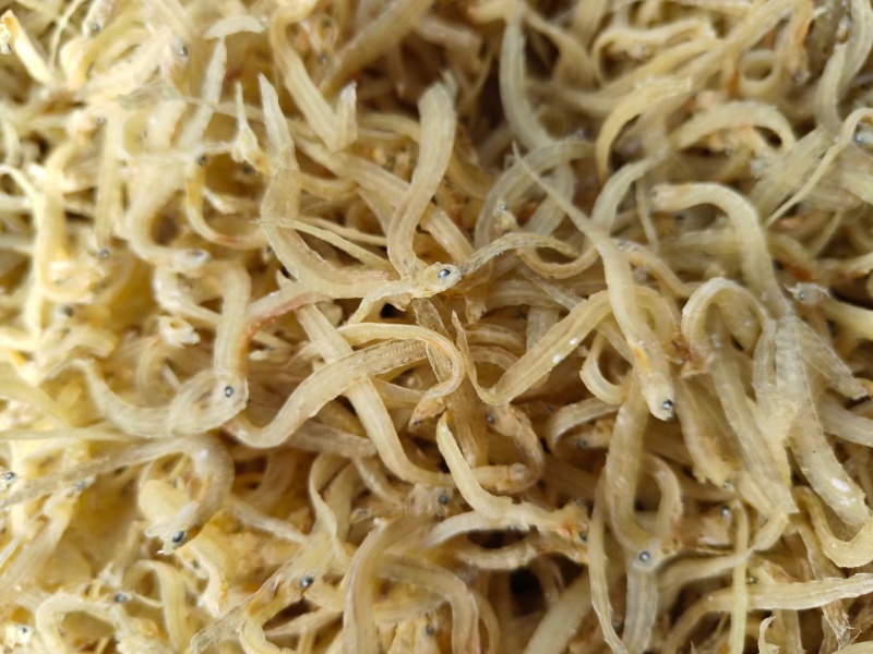 凤尾鱼面条鱼丁香鱼银鱼干海泥鳅小鱼干小咸鱼干海鲜