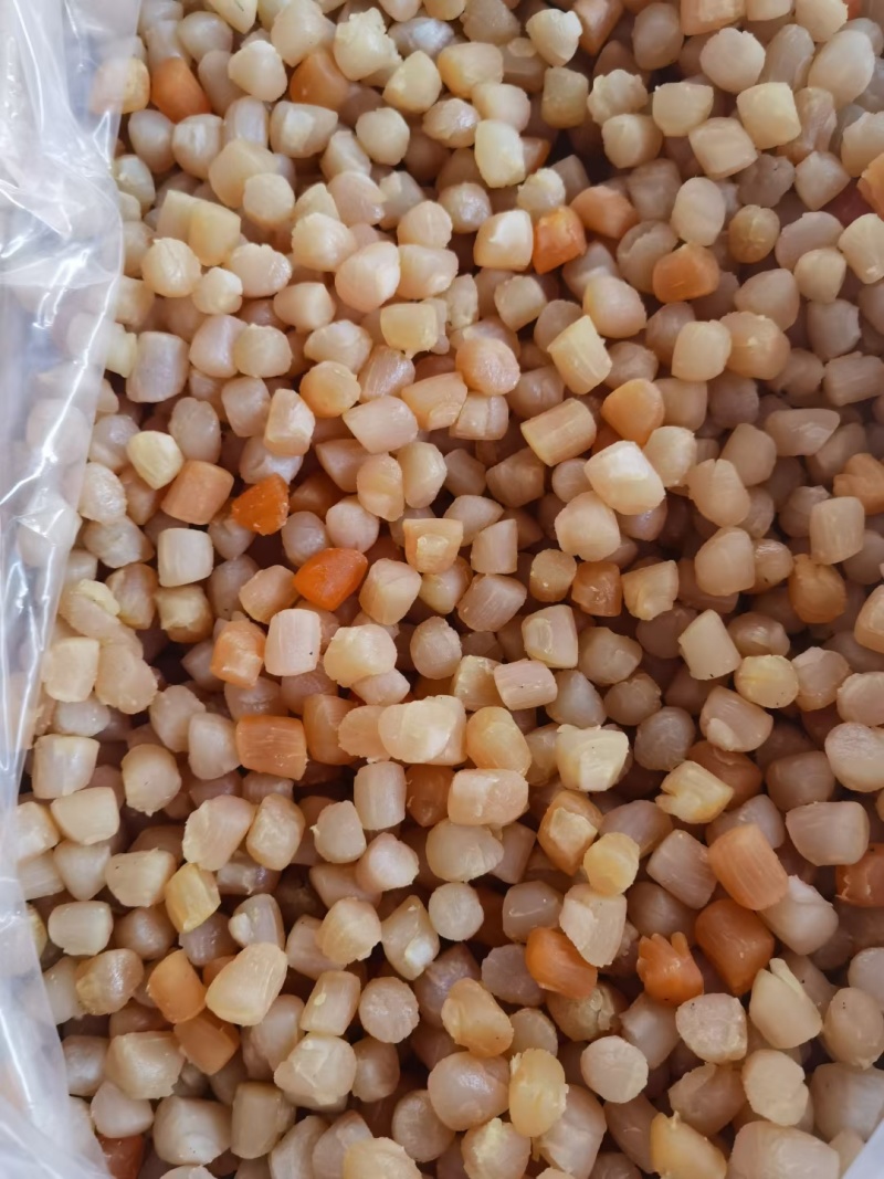 干贝瑶柱新晒元贝淡干扇贝丁扇贝肉大粒干贝扇贝瑶柱厂家直发