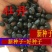 牡丹种子，新货育苗专用。价格美丽包邮