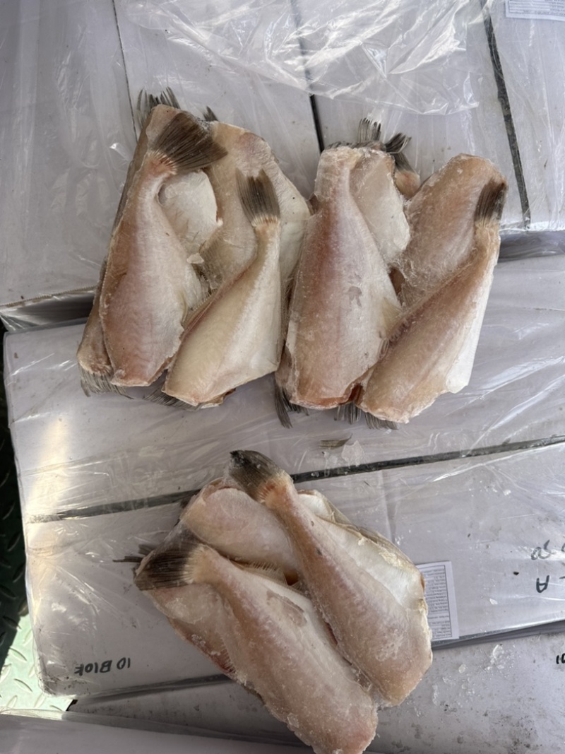 马面鱼三去马面鱼30/5050/100100/2