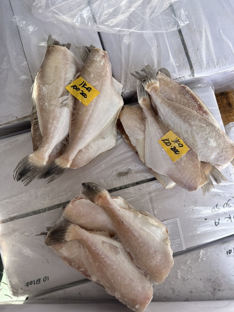 马面鱼三去马面鱼30/5050/100100/2