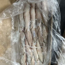 龙舌鱼龙利鱼