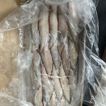 龙舌鱼龙利鱼