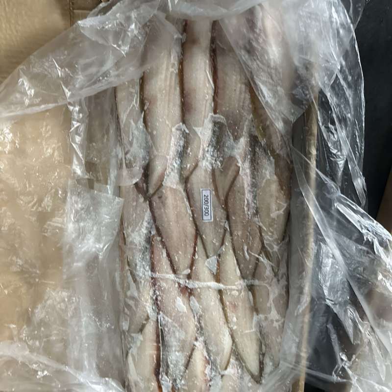 龙舌鱼龙利鱼