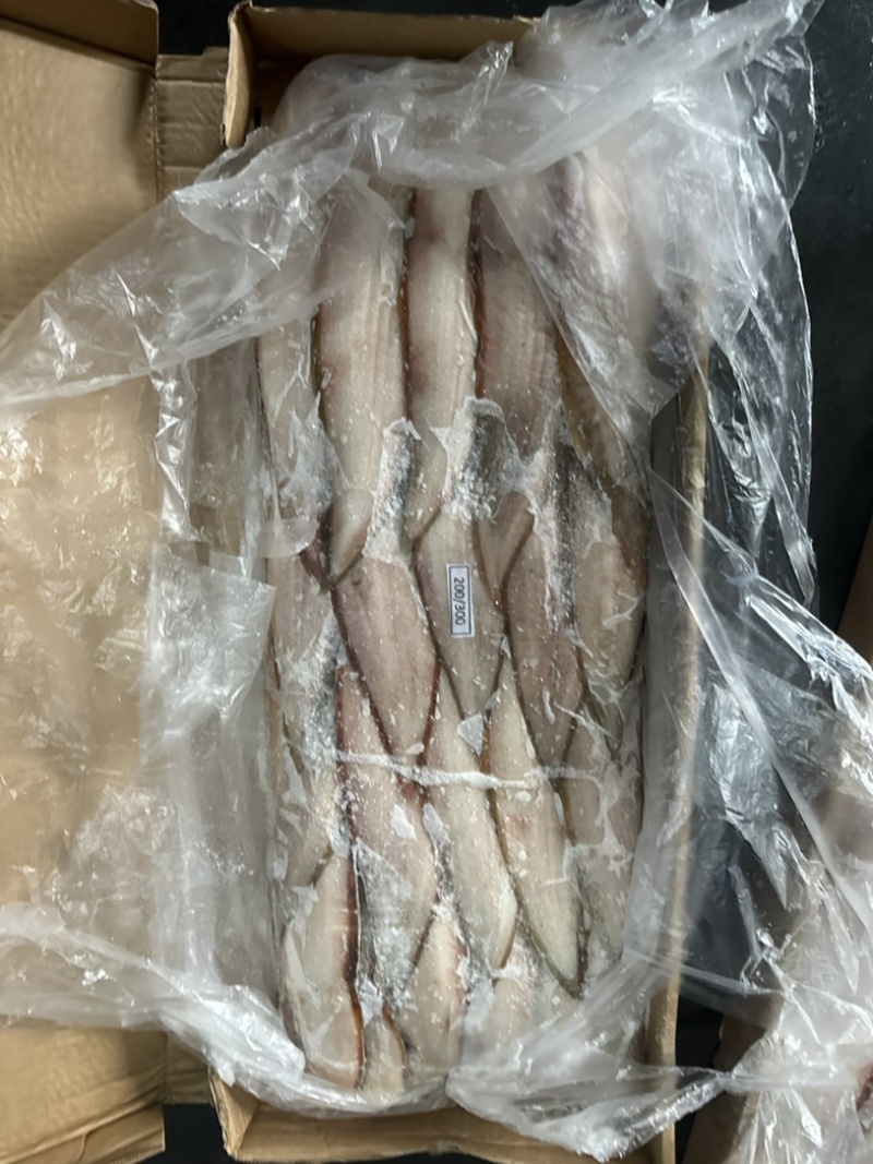 龙舌鱼龙利鱼