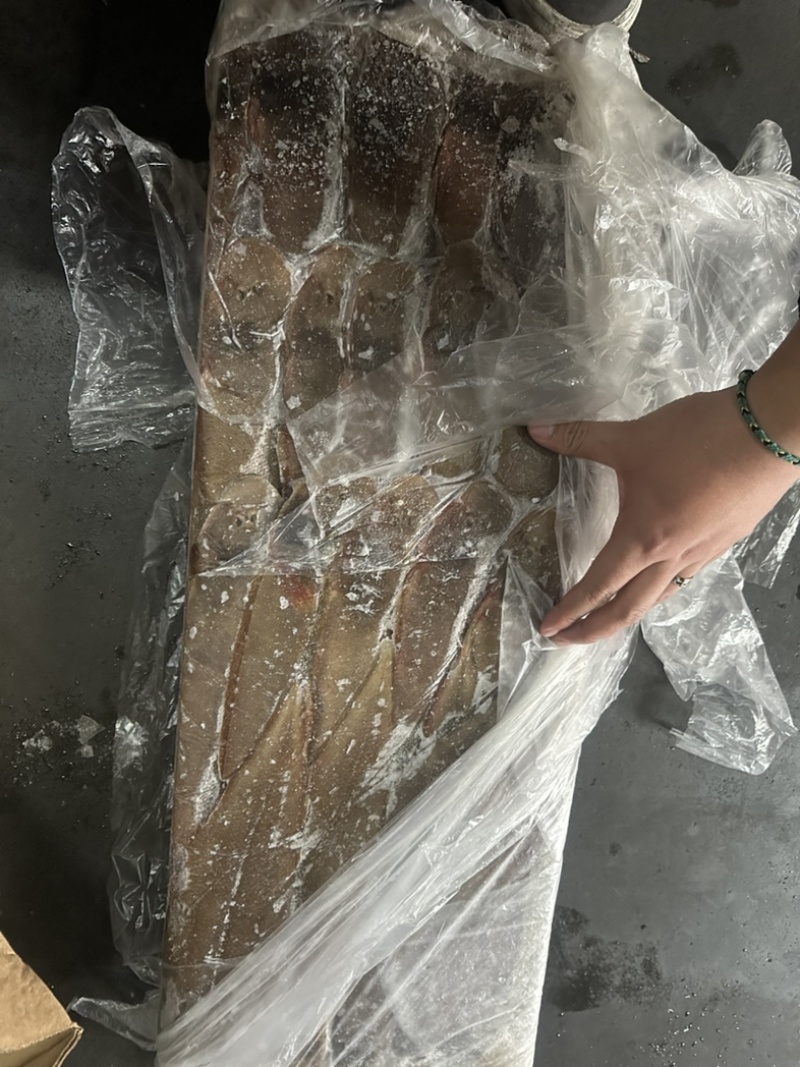 龙舌鱼龙利鱼