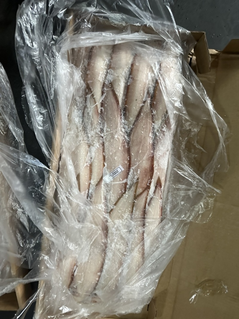 龙舌鱼龙利鱼