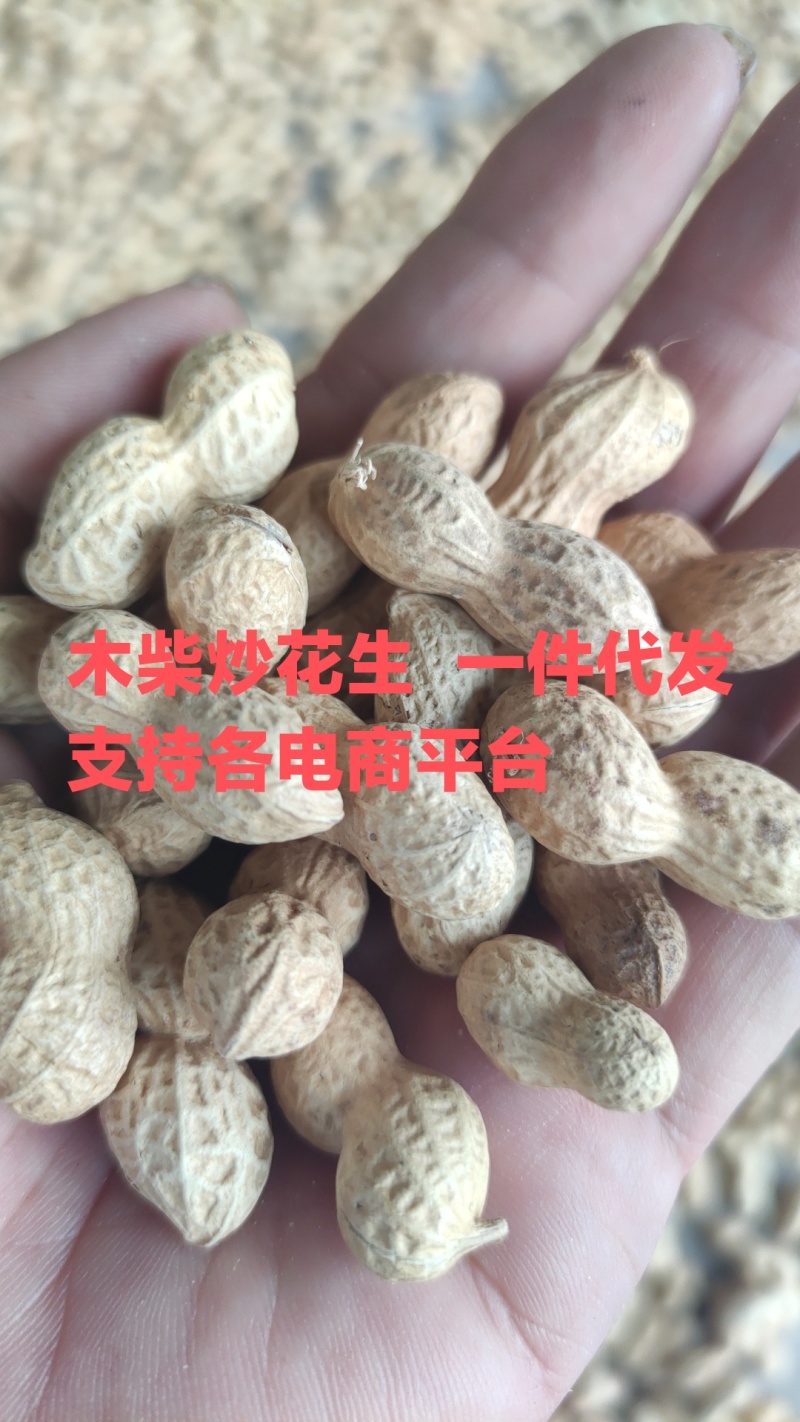 木柴炒花生天府三小日本支持电商一件代发