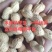 木柴炒花生天府三小日本支持电商一件代发