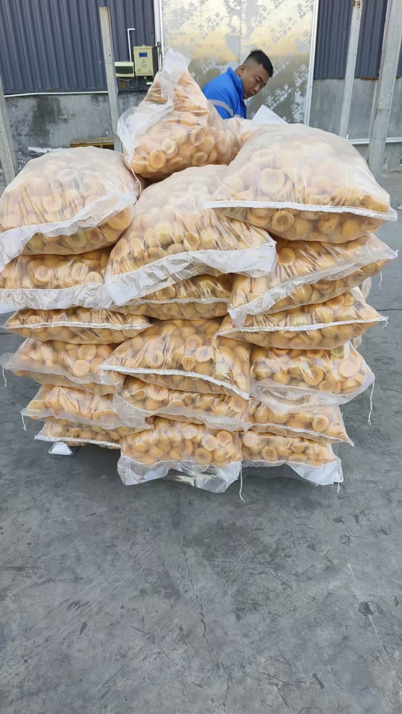 速冻桃瓣山东黄桃瓣黄金冠桃瓣大量现货，大量接单，产地大掉