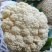 松花菜通许当年鲜菜花纯80小米粒白花菜代收代发代加工