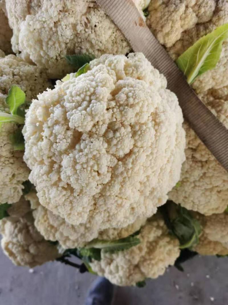 松花菜通许当年鲜菜花纯80小米粒白花菜代收代发代加工
