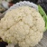 松花菜通许当年鲜菜花纯80小米粒白花菜代收代发代加工
