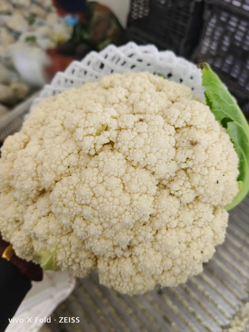 松花菜通许当年鲜菜花纯80小米粒白花菜代收代发代加工