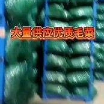 香菜出库开始了老板到大量有货要联系