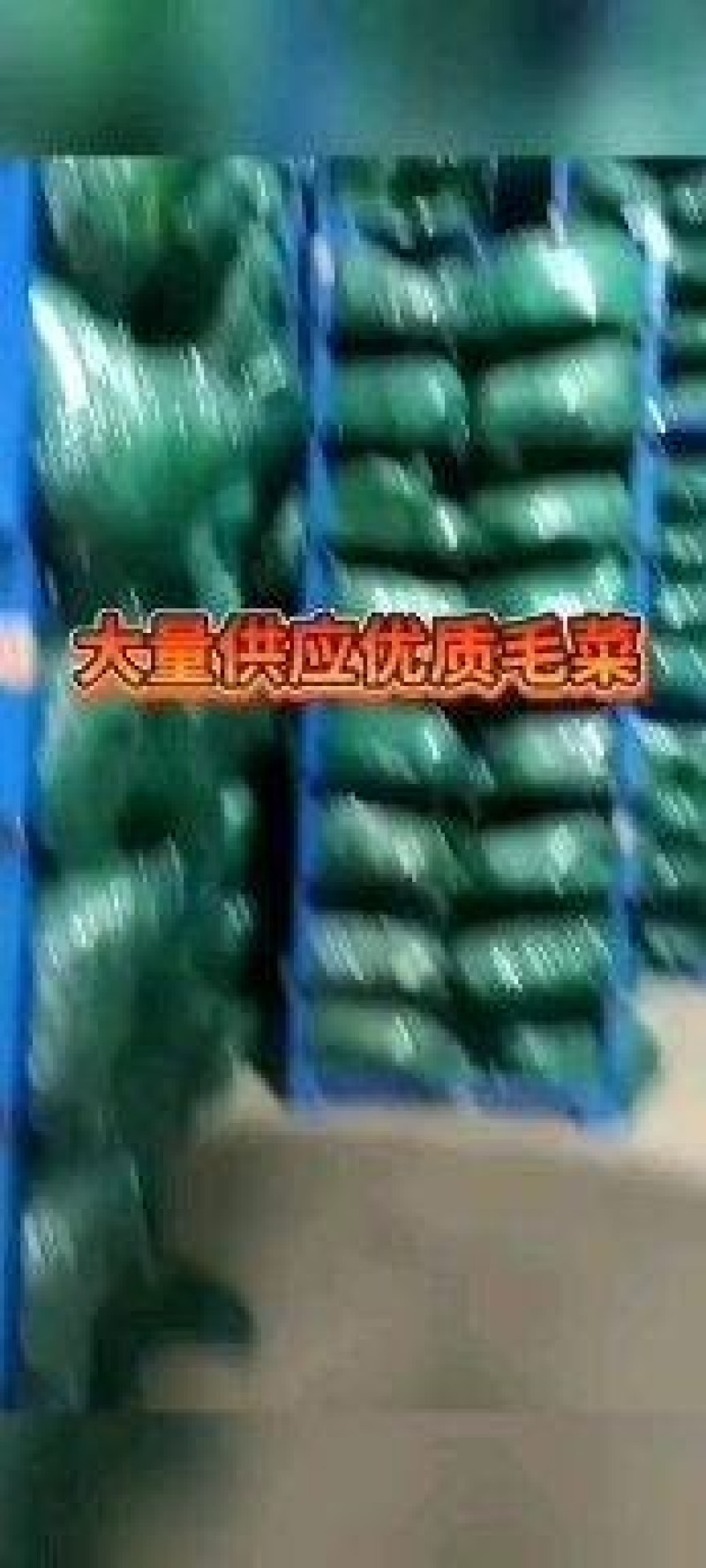 香菜出库开始了老板到大量有货要联系