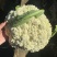 青梗花菜有机花菜苗损坏包赔