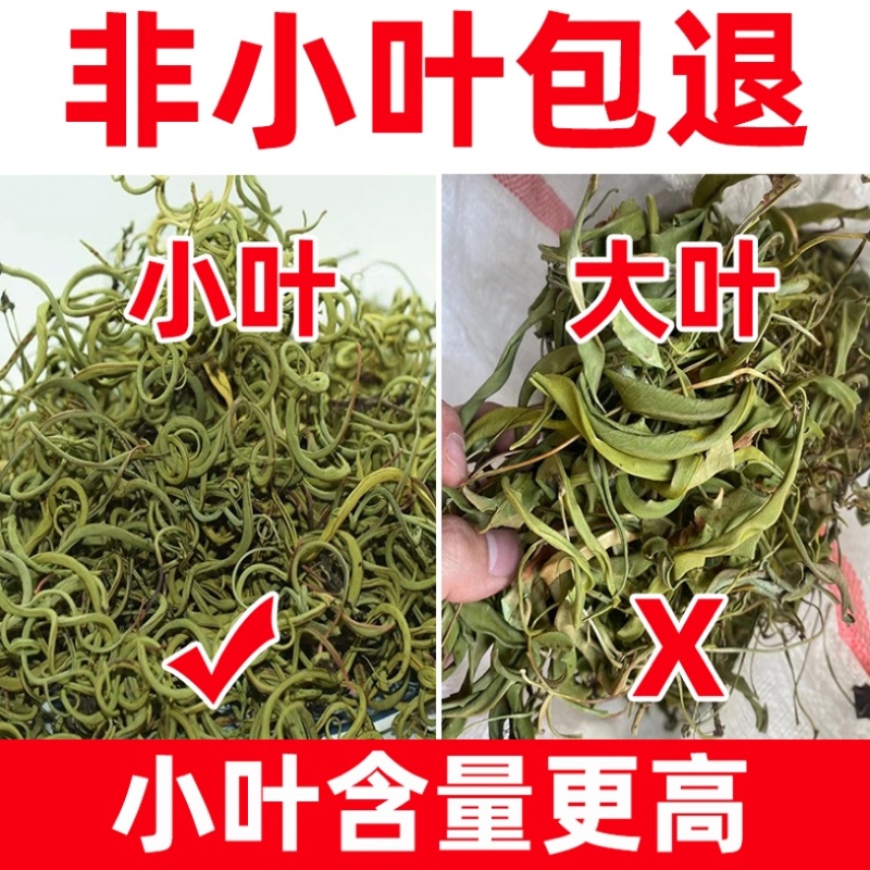 正宗长白山云南小叶化石草肾精草猫须草中药材新货