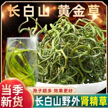 正宗长白山云南小叶化石草肾精草猫须草中药材新货