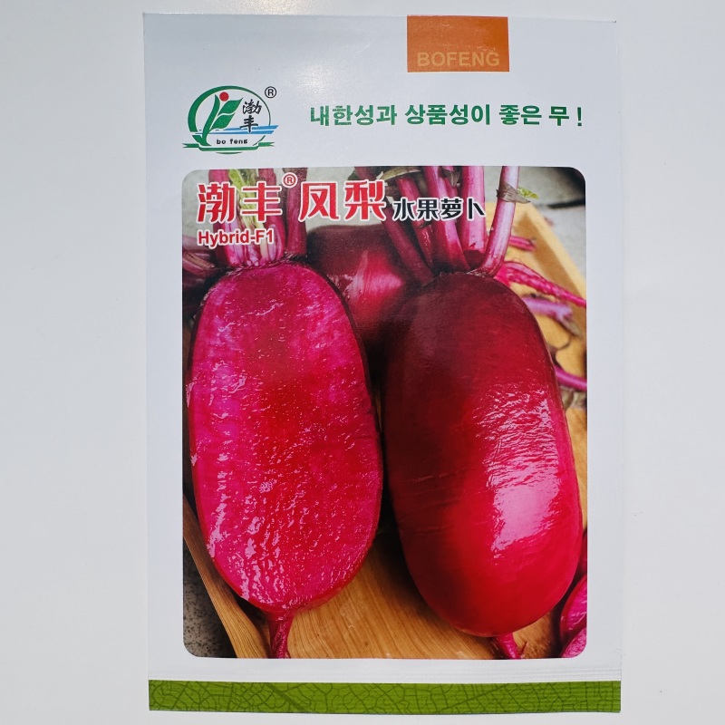 早熟水果萝卜种子口感脆甜预甜火龙果水果萝卜种子高端萝卜种